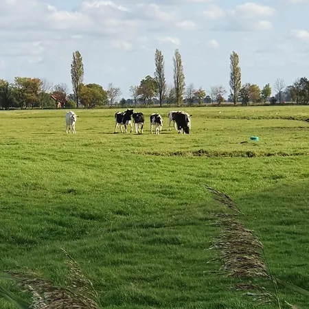 Wangerooge In Burhave