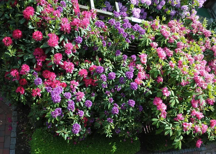 Wangerooge In Burhave