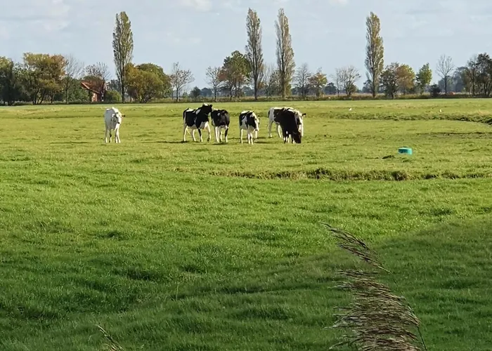 Wangerooge In Burhave